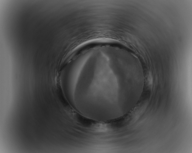 X0000094900276200712061035