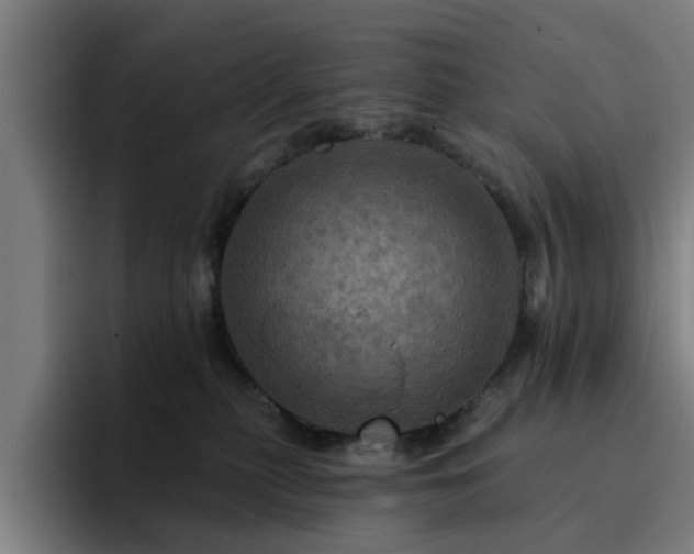 X0000094900279200712061035