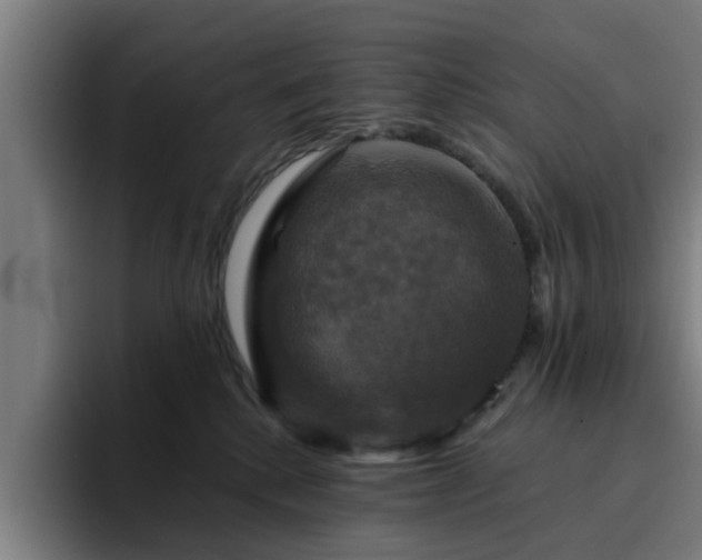 X0000094900280200712061035