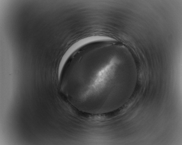 X0000094900282200712061035