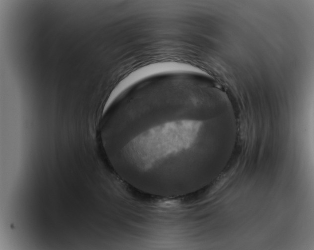 X0000094900283200712061035