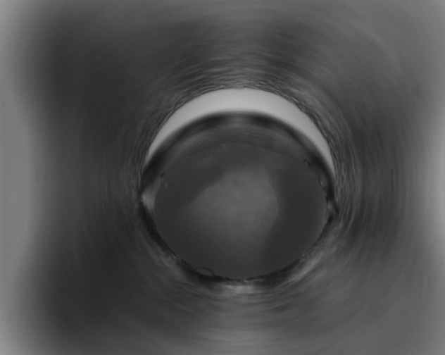 X0000094900284200712061035