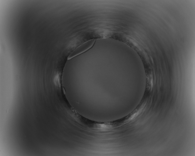 X0000094900286200712061035