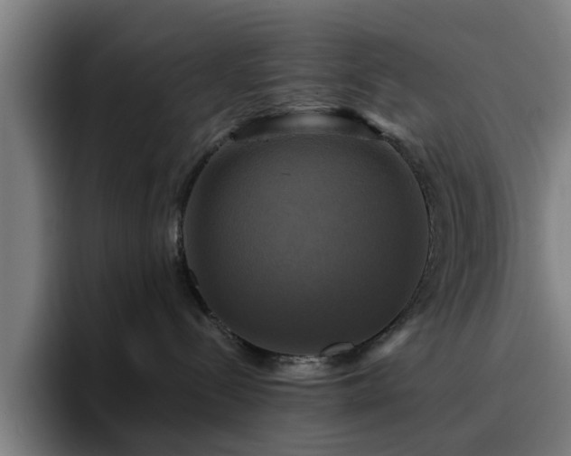 X0000094900288200712061035