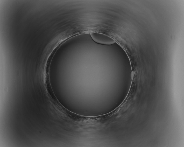 X0000094900290200712061034