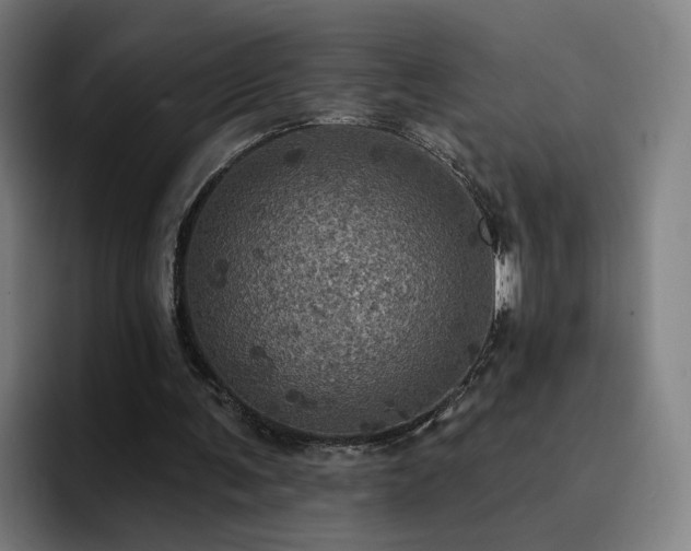 X0000094900291200712061034