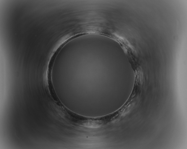 X0000094900292200712061034