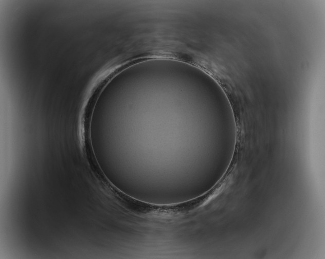 X0000094900294200712061034