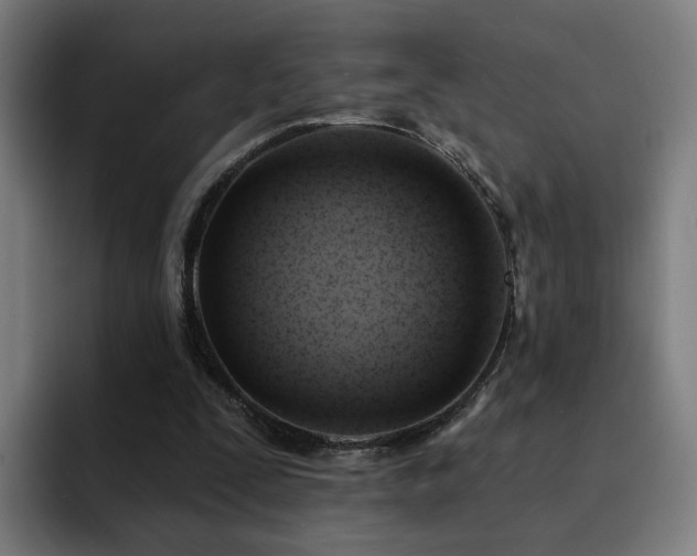 X0000094900295200712061034