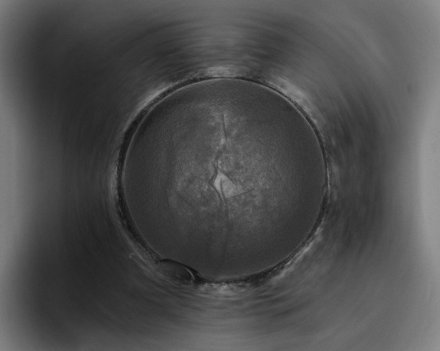 X0000094900297200712061034