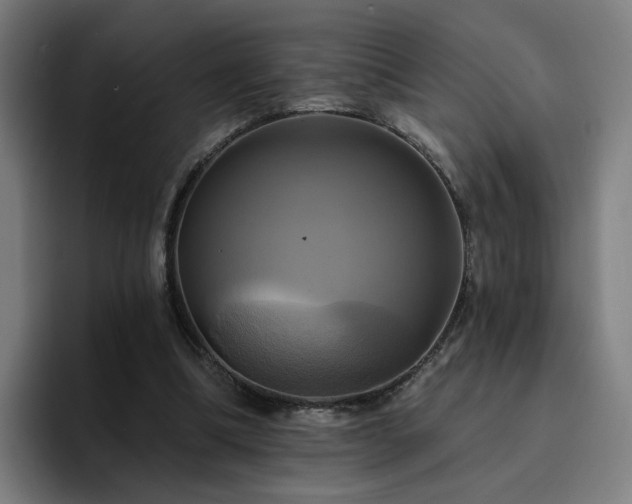 X0000094900298200712061034