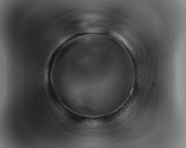 X0000094900299200712061034