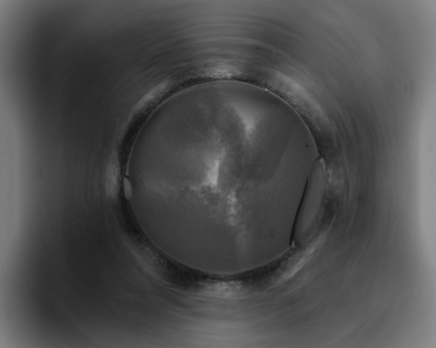 X0000094900304200712061034