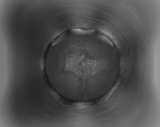 X0000094900305200712061034