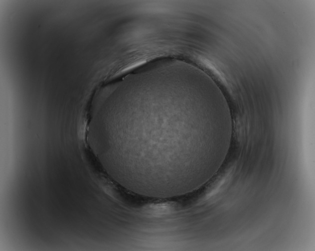 X0000094900307200712061034
