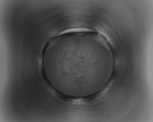 X0000094900309200712061034