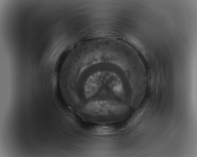 X0000094900315200712061034