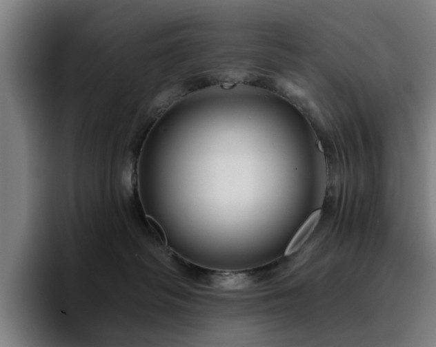 X0000094900334200712061034
