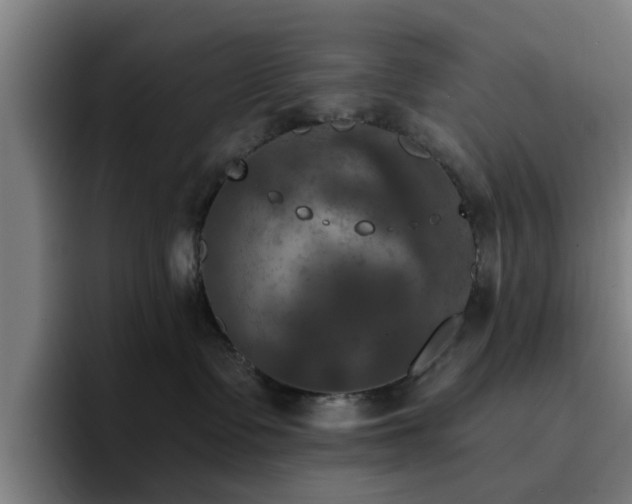 X0000094900335200712061033