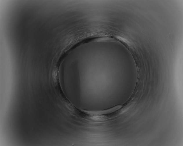 X0000094900336200712061033