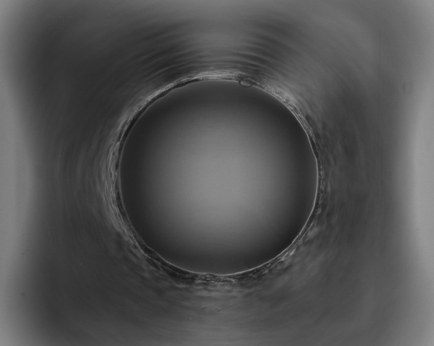 X0000094900337200712061033