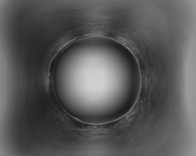X0000094900338200712061033