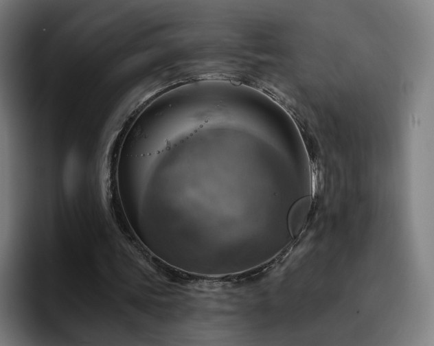 X0000094900339200712061033