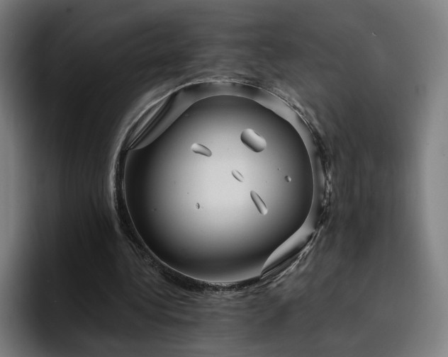 X0000094900340200712061033