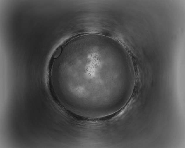 X0000094900342200712061033