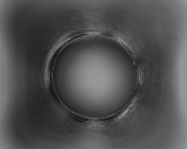 X0000094900343200712061033