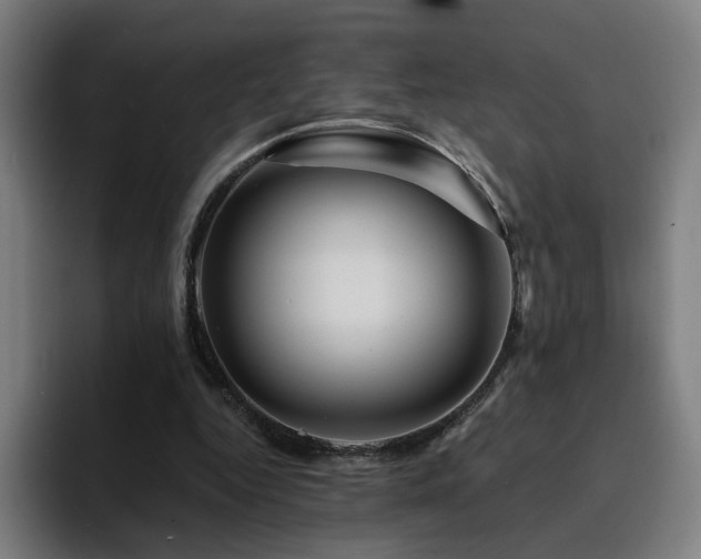 X0000094900344200712061033