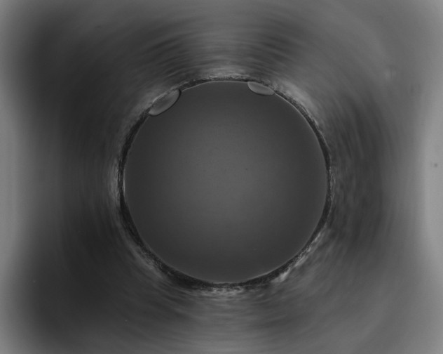 X0000094900345200712061033