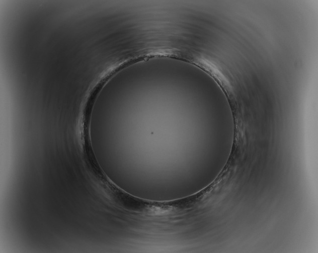 X0000094900346200712061033