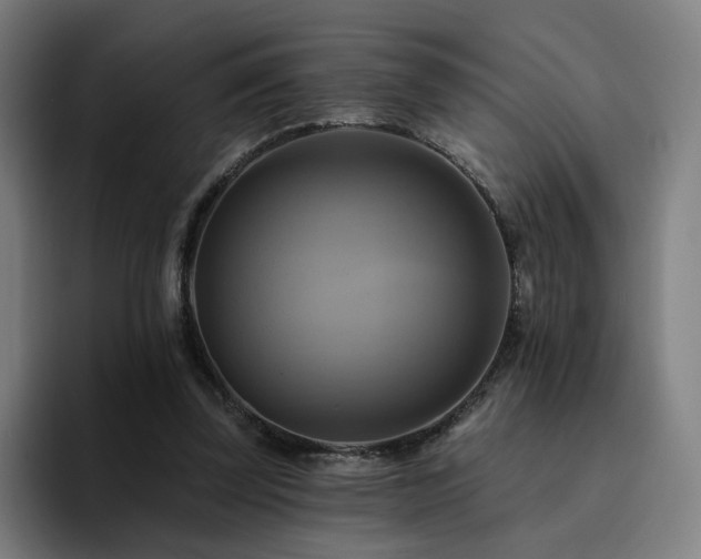 X0000094900347200712061033