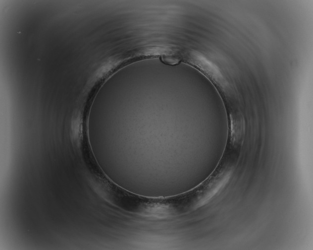 X0000094900348200712061033
