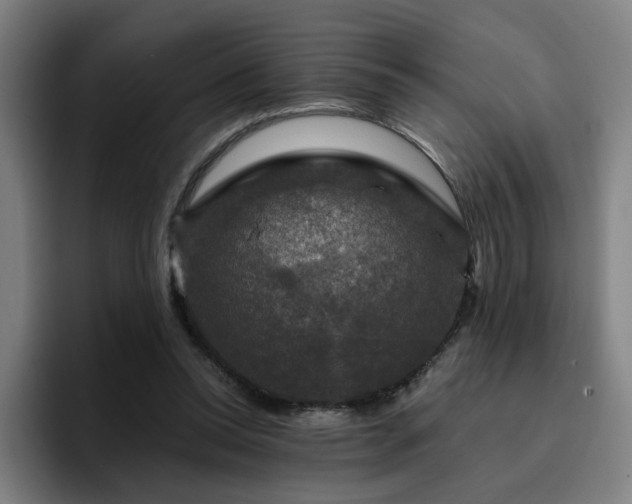 X0000094900350200712061033