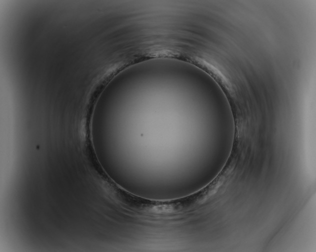 X0000094900353200712061033