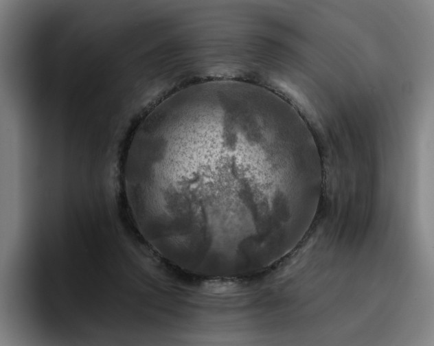 X0000094900354200712061033