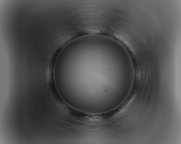 X0000094900359200712061033