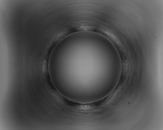 X0000094900361200712061033