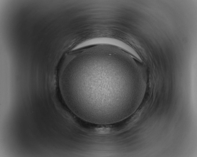 X0000094900362200712061033