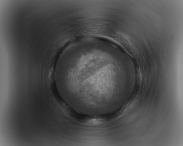 X0000094900364200712061033