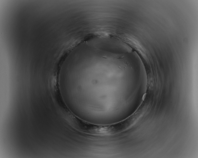 X0000094900365200712061033