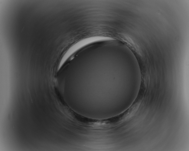 X0000094900366200712061033