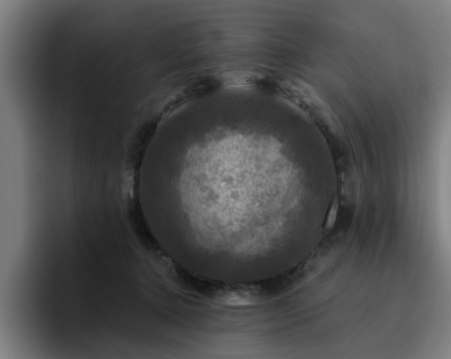 X0000094900368200712061033