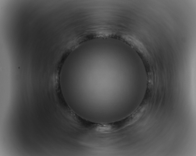 X0000094900369200712061033