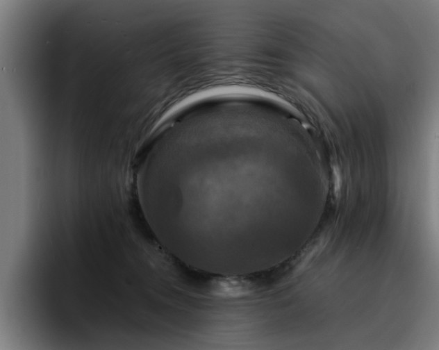 X0000094900372200712061033
