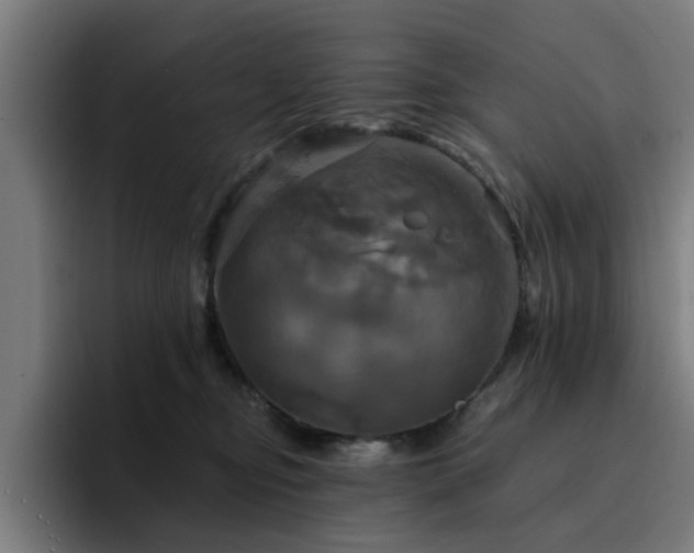 X0000094900374200712061033