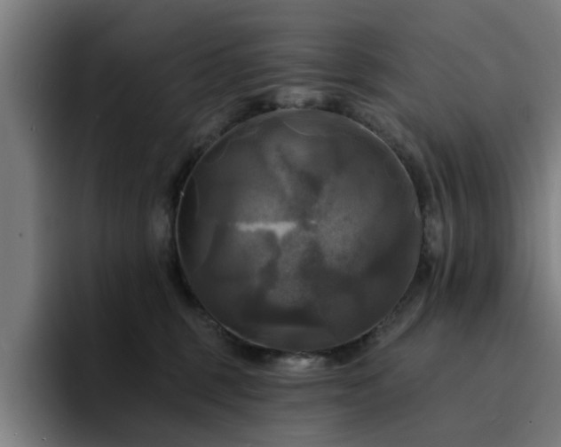 X0000094900375200712061033