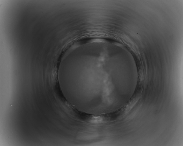 X0000094900376200712061033
